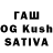 Галлюциногенные грибы GOLDEN TEACHER Rasim Kuliev