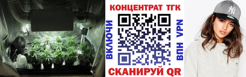 кракен вход  Нововоронеж  Дистиллят ТГК THC oil 