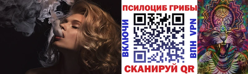 Псилоцибиновые грибы прущие грибы Нововоронеж